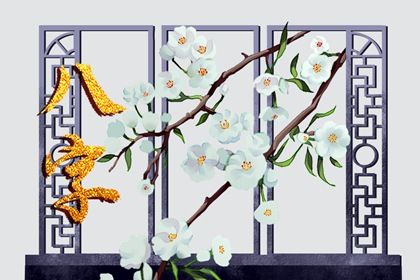 命宫与配偶宫的关系