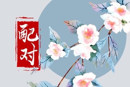 算命神巴巴 大数据算命 水木八字 男女生八字配对 测算八字流年