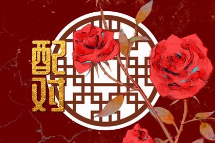命盘免费算命_紫微四柱排盘_算命紫微排盘_易百查紫薇排盘_活页紫微排盘
