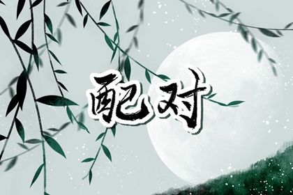 四柱命盘解析,天纪紫微斗数排盘,命免费紫薇排盘
