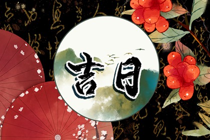 流年命盘排盘 流年逆运 解析大运流年