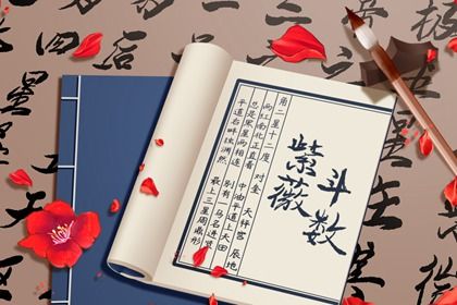 斗数能看哪些方面